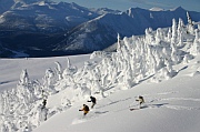 adventure skiing bc adventure skiing around kicking horse