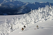 adventure skiing around kicking horse