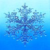 frozen falling snowflake frozen falling snowflake