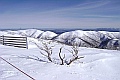 winter scene australia