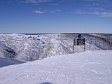 hotham towards gotcha hotham towards gotcha