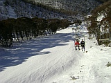 hotham under blue ribbon