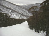 hotham blue ribbon run hotham blue ribbon run