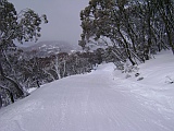 hotham close to blue ribbons runs