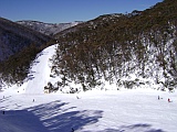hotham down snake valley hotham down snake valley