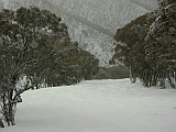 hotham on the way to blue ribbon hotham on the way to blue ribbon