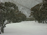 hotham on the way to blue ribbon