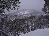 hotham winter picture