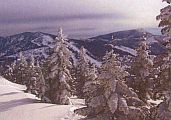 winter picture a of snow covered valley   